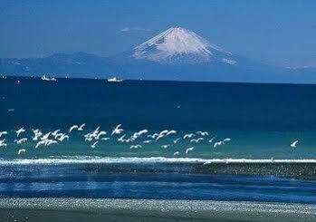 Tateyama Seaside Hotel Kültér fotó